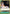 Diable Jambe Venaison Shoot (OP02-046) - Paramount War
