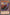 Bladefly (25th Anniversary) [MRD-EN118] Rare - Yu-Gi-Oh! - Card Brawlers | Quebec | Canada |