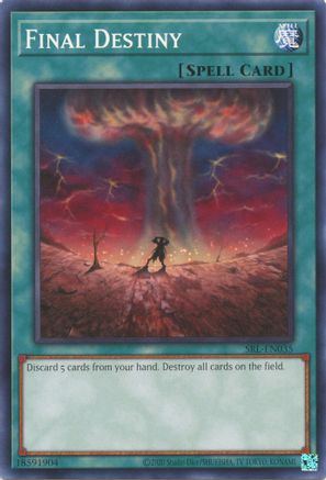Final Destiny (25th Anniversary) [SRL-EN035] Common