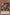 Bombardment Beetle (25th Anniversary) [PSV-EN087] Common - Yu-Gi-Oh! - Card Brawlers | Quebec | Canada |