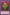 Energy Drain (25th Anniversary) [IOC-EN055] Common - Yu-Gi-Oh! - Card Brawlers | Quebec | Canada |