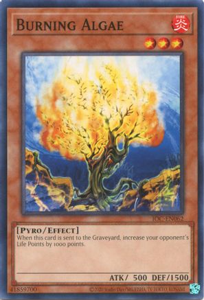 Burning Algae (25th Anniversary) [IOC-EN062] Common - Yu-Gi-Oh! - Card Brawlers | Quebec | Canada |