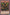 Invader of Darkness (25th Anniversary) [IOC-EN111] Secret Rare - Yu-Gi-Oh! - Card Brawlers | Quebec | Canada |