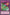 Dice Re-Roll (25th Anniversary) [DCR-EN100] Common - Yu-Gi-Oh! - Card Brawlers | Quebec | Canada |