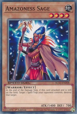 Amazoness Sage [SGX3-END08] Common - Yu-Gi-Oh! - Card Brawlers | Quebec | Canada |