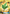 Life Herb (180/168) [Sun & Moon: Celestial Storm] - Pokémon - Card Brawlers | Quebec | Canada |