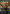 Squirrel Mob (Borderless) [Bloomburrow Commander] - Magic: The Gathering - Card Brawlers | Quebec | Canada |