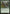 Citanul Woodreaders [Duel Decks: Nissa vs. Ob Nixilis] - Magic: The Gathering - Card Brawlers | Quebec | Canada |