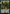 Astartes Warrior // Plaguebearer of Nurgle Double-Sided (Surge Foil) [Warhammer 40,000 Tokens] - Magic: The Gathering - Card Brawlers | Quebec | Canada |