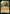 Part of Your World (30/204) [The First Chapter] - Disney - Card Brawlers | Quebec | Canada |