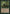 Anaconda (With Flavor Text) [Portal] - Magic: The Gathering - Card Brawlers | Quebec | Canada |