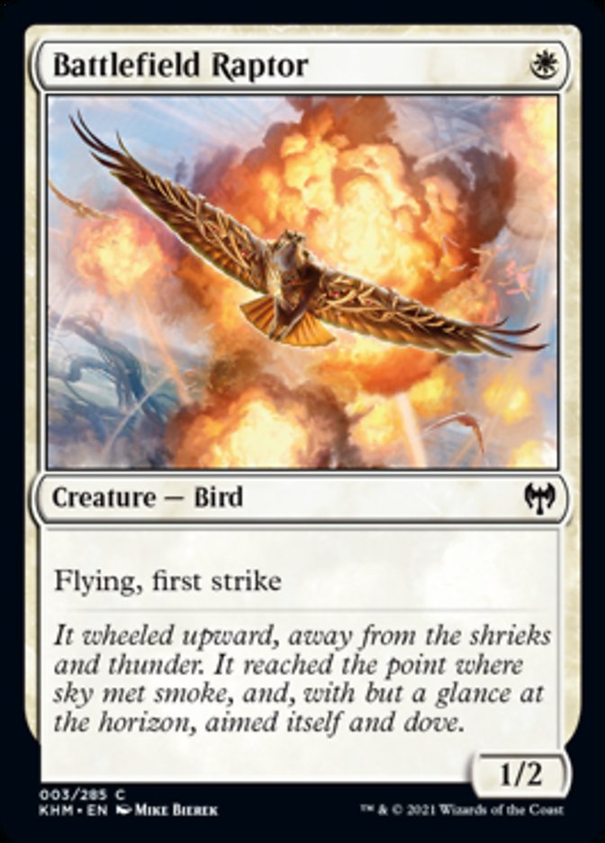 Battlefield Raptor [Kaldheim] - Magic: The Gathering - Card Brawlers | Quebec | Canada |