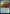 Fraying Line [Commander Legends: Battle for Baldur's Gate Prerelease Promos] - Magic: The Gathering - Card Brawlers | Quebec | Canada |