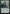 Vivien Reid (Promo Pack) [Core Set 2019 Promos] - Magic: The Gathering - Card Brawlers | Quebec | Canada |
