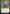 Ajani, the Greathearted (Stained Glass) [Secret Lair Drop Promos] - Magic: The Gathering - Card Brawlers | Quebec | Canada |