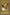 Left Arm of the Forbidden One [LOB-123] Ultra Rare - Yu-Gi-Oh! - Card Brawlers | Quebec | Canada |