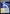 Azorius Chancery [Ravnica Allegiance Guild Kit] - Magic: The Gathering - Card Brawlers | Quebec | Canada |