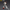 Joytoy - Warhammer 40k - White Scar Legion - MKVI Tactical Legionary - (PREORDER) October 30, 2026