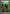 Hive Stirrings (Game Day) [Magic 2014 Promos] - Magic: The Gathering - Card Brawlers | Quebec | Canada |