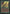 Regrowth [Beta Edition] - Magic: The Gathering - Card Brawlers | Quebec | Canada |