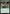 Citanul Hierophants [Duskmourn: House of Horror Commander] - Magic: The Gathering - Card Brawlers | Quebec | Canada |