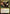 Atarka, World Render [Resale Promos] - Magic: The Gathering - Card Brawlers | Quebec | Canada |