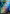 Miku, Queen Electric - Brago, King Eternal (Rainbow Foil - Japanese) [Secret Lair Drop Series] - Magic: The Gathering - Card Brawlers | Quebec | Canada |