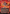 Seasoned Pyromancer [Pro Tour Promos] - Magic: The Gathering - Card Brawlers | Quebec | Canada |