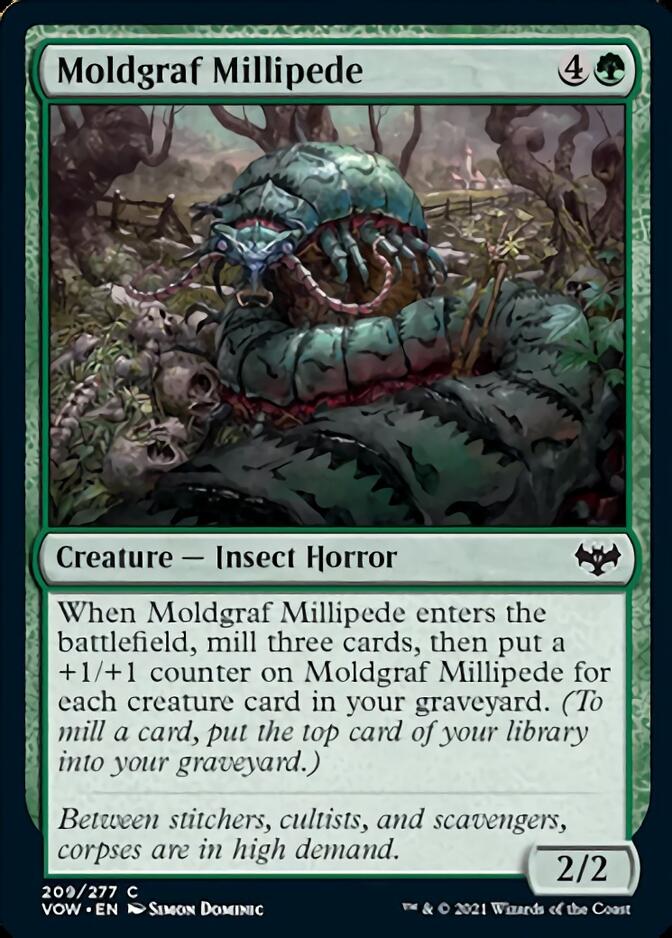 Moldgraf Millipede [Innistrad: Crimson Vow] - Magic: The Gathering - Card Brawlers | Quebec | Canada |