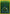 Grass Energy (WotC 2002 League Promo) [League & Championship Cards] - Pokémon - Card Brawlers | Quebec | Canada |