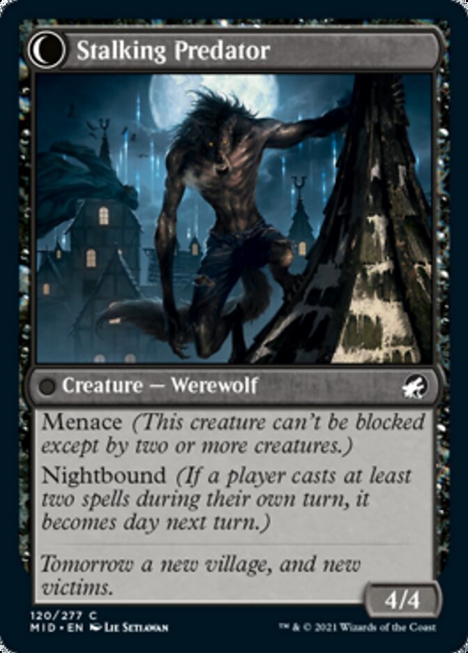 Shady Traveler // Stalking Predator [Innistrad: Midnight Hunt] - Magic: The Gathering - Card Brawlers | Quebec | Canada |