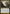Ardent Plea [Alara Reborn] - Magic: The Gathering - Card Brawlers | Quebec | Canada |