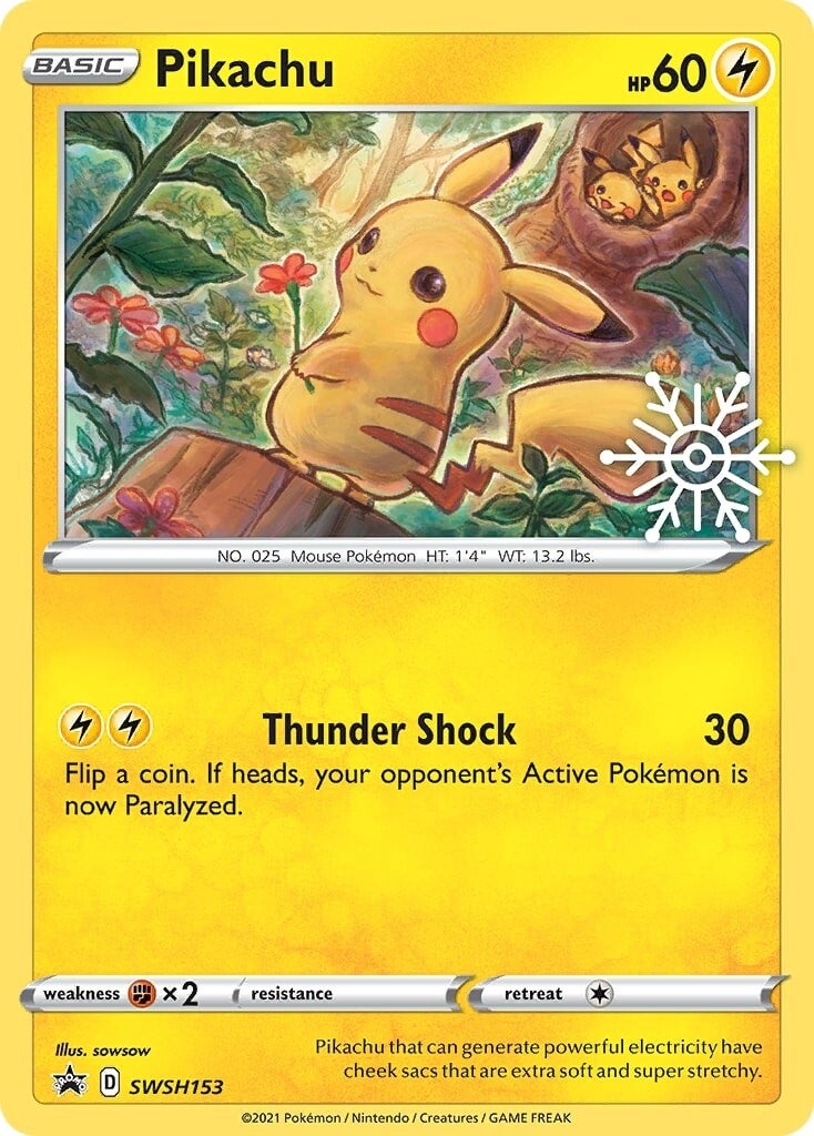 Pikachu (SWSH153) (Holiday Calendar) [Sword & Shield: Black Star Promos] - Pokémon - Card Brawlers | Quebec | Canada |