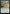 Sandwurm Convergence [Commander Masters] - Magic: The Gathering - Card Brawlers | Quebec | Canada |