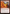 Scorching Dragonfire [Jumpstart 2022] - Magic: The Gathering - Card Brawlers | Quebec | Canada |