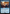 Propaganda [FINAL FANTASY Commander] - Magic: The Gathering - Card Brawlers | Quebec | Canada |