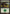 Forest (353) [Commander 2013] - Magic: The Gathering - Card Brawlers | Quebec | Canada |
