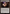Obscura Storefront [Duskmourn: House of Horror Commander] - Magic: The Gathering - Card Brawlers | Quebec | Canada |