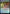 Mirror of Life Trapping [Commander Legends: Battle for Baldur's Gate Prerelease Promos] - Magic: The Gathering - Card Brawlers | Quebec | Canada |