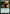 Verdant Sun's Avatar (Promo Pack) [Ixalan Promos] - Magic: The Gathering - Card Brawlers | Quebec | Canada |
