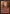 Chance Encounter [Secret Lair: Heads I Win, Tails You Lose] - Magic: The Gathering - Card Brawlers | Quebec | Canada |
