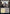 Silverquill Campus [Strixhaven: School of Mages] - Magic: The Gathering - Card Brawlers | Quebec | Canada |