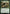 Legolas, Master Archer [The Lord of the Rings: Tales of Middle-Earth Prerelease Promos] - Magic: The Gathering - Card Brawlers | Quebec | Canada |