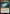 Doors of Durin [The Lord of the Rings: Tales of Middle-Earth Prerelease Promos] - Magic: The Gathering - Card Brawlers | Quebec | Canada |