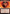 Avatar Roku, Firebender (Extended Art) [Avatar: The Last Airbender: Eternal-Legal] - Magic: The Gathering - Card Brawlers | Quebec | Canada |