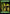 Forest (1092) [Secret Lair Drop Series] - Magic: The Gathering - Card Brawlers | Quebec | Canada |