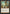 Chalice of the Void (Timeshifted) [Time Spiral Remastered] - Magic: The Gathering - Card Brawlers | Quebec | Canada |