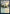 Canopy Vista [Dungeons & Dragons: Adventures in the Forgotten Realms Commander] - Magic: The Gathering - Card Brawlers | Quebec | Canada |