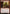 Conspicuous Snoop (Promo Pack) [Core Set 2021 Promos] - Magic: The Gathering - Card Brawlers | Quebec | Canada |