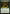 Sylvan Bounty [Mystery Booster] - Magic: The Gathering - Card Brawlers | Quebec | Canada |